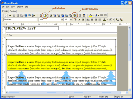 TRichView � Report Builder