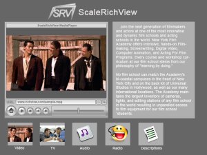 ������������ ������������ TSRVMediaPlayer