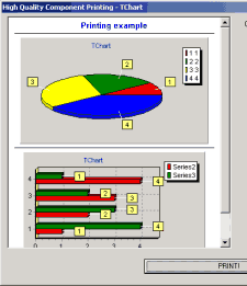 TChart  TRichView