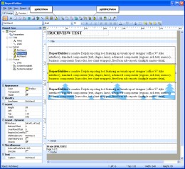 TRichView в ReportBuilder TRichView в Report Builder