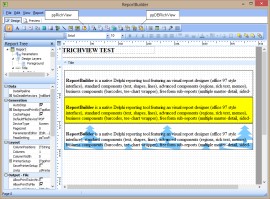 TRichView  ReportBuilder